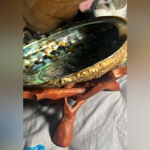 Abalone she’ll incense holder